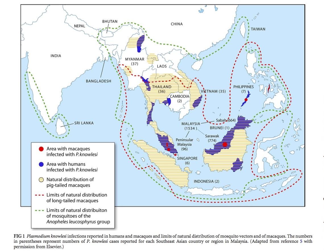 mapa de malasia de la malaria