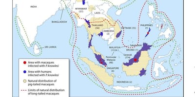 Mapa de malasia de la malaria
